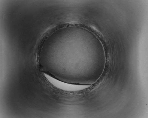 X0000091641398200709201100