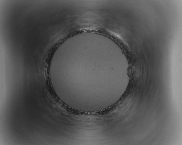 X0000091641399200709201100