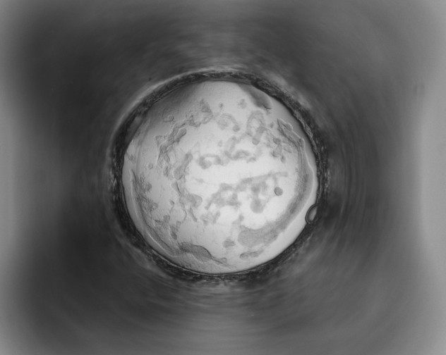 X0000091641400200709201100