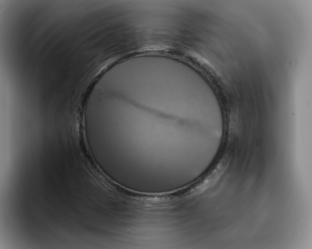 X0000091641401200709201100