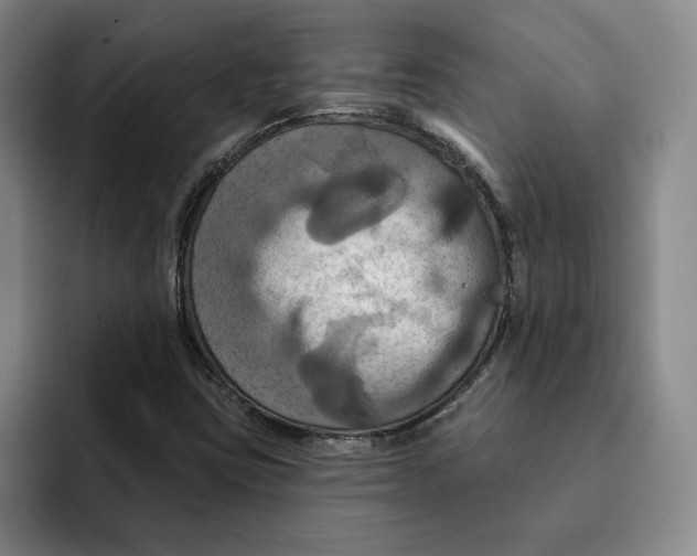 X0000091641403200709201100