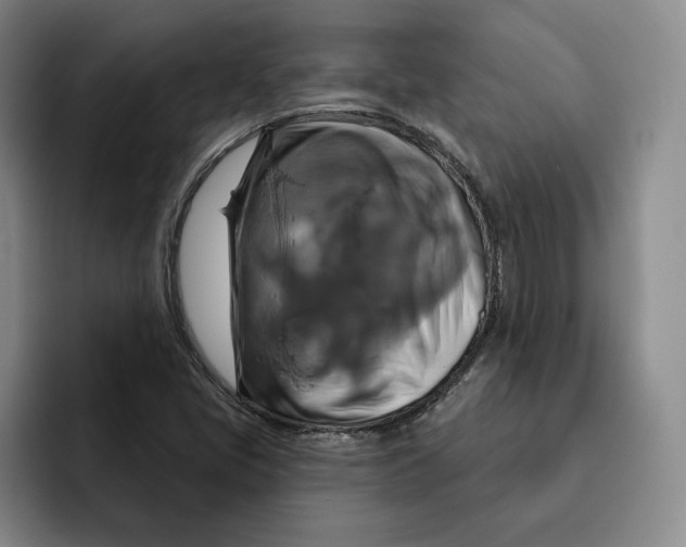 X0000091641405200709201100