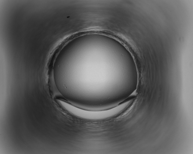 X0000091641406200709201100