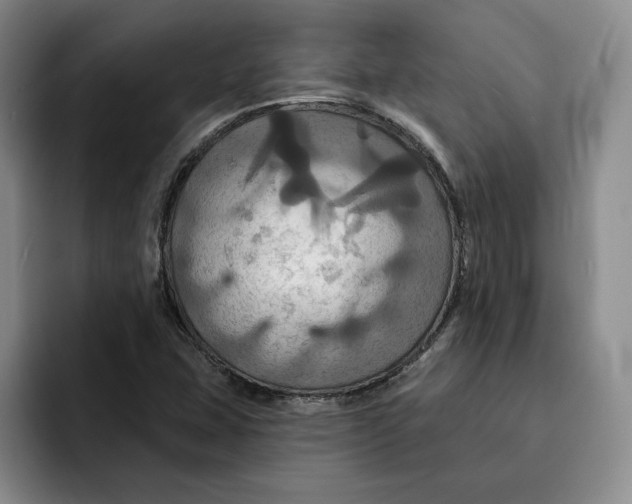 X0000091641407200709201100