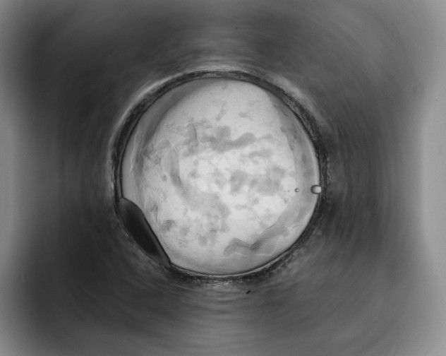 X0000091641408200709201100