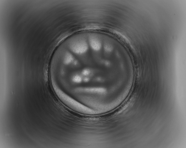 X0000091641409200709201100