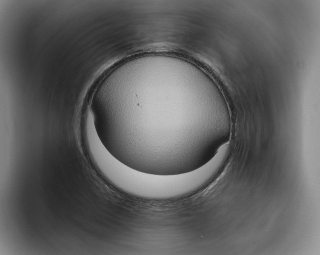 X0000091641410200709201100