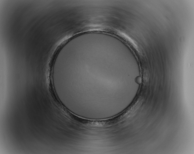 X0000091641411200709201100