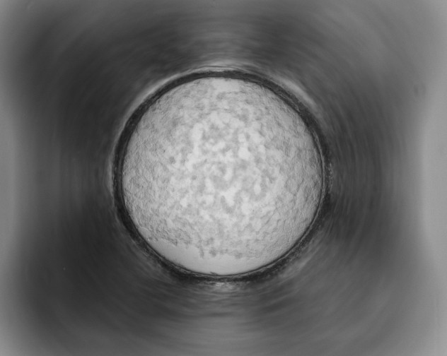 X0000091641412200709201100
