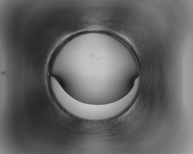 X0000091641414200709201100