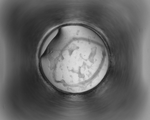 X0000091641416200709201100