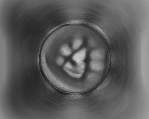 X0000091641417200709201100