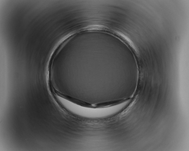 X0000091641418200709201100
