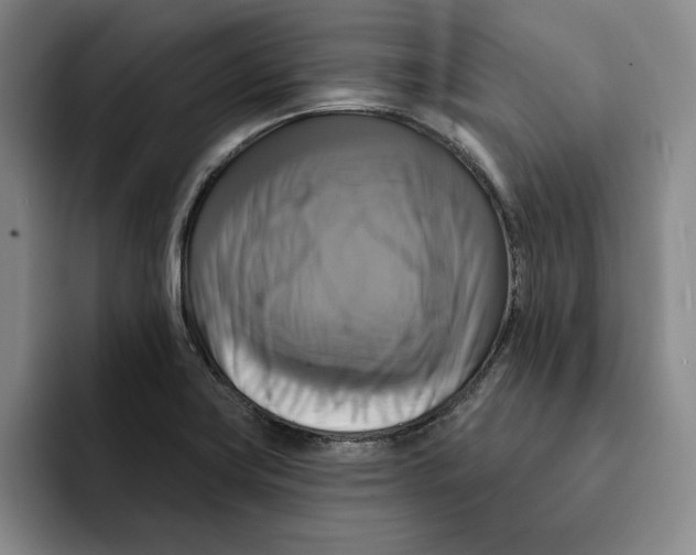 X0000091641419200709201100