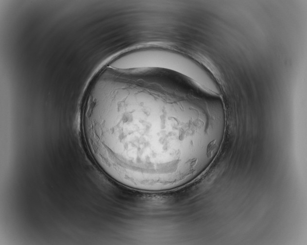 X0000091641420200709201100