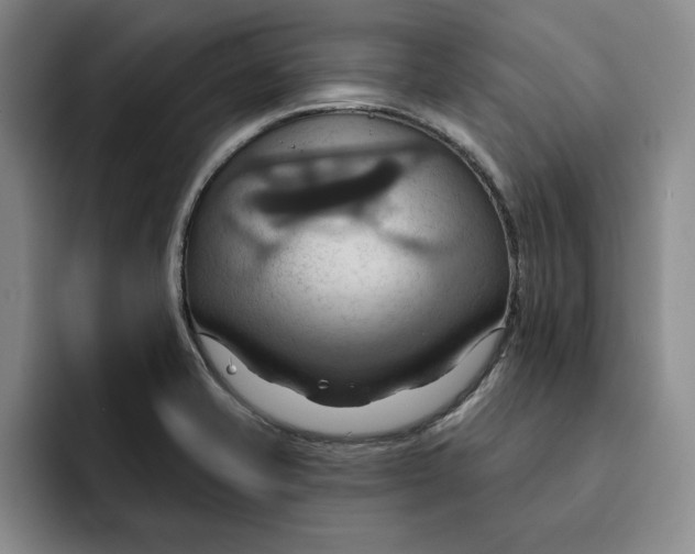 X0000091641421200709201100