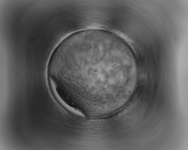 X0000091641423200709201100