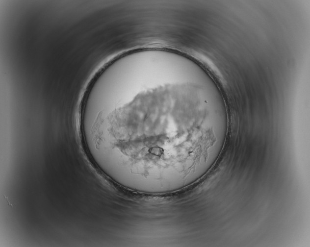 X0000091641424200709201100