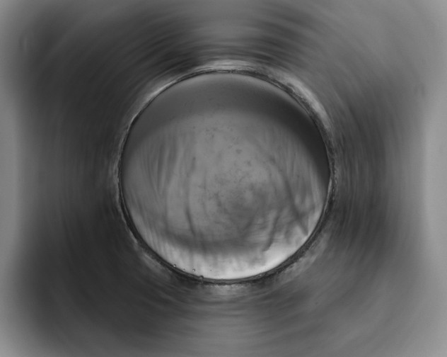X0000091641425200709201100