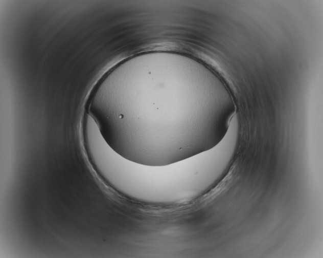 X0000091641426200709201100