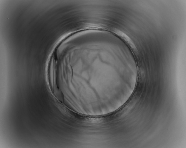 X0000091641427200709201100