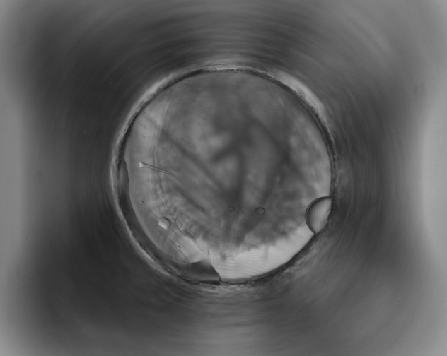 X0000091641429200709201100
