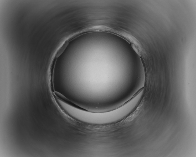 X0000091641430200709201100