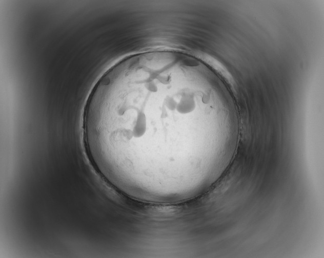 X0000091641431200709201100