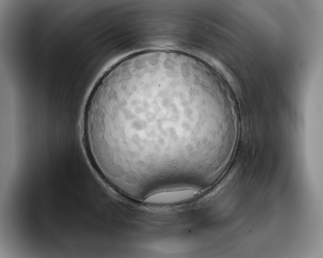 X0000091641432200709201100