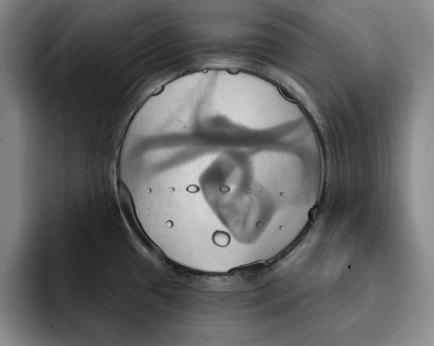 X0000091641433200709201100