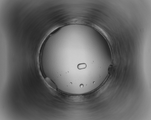 X0000091641434200709201100