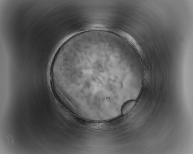 X0000091641435200709201100