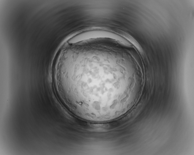 X0000091641436200709201100
