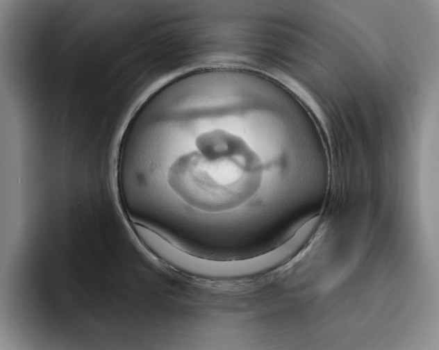 X0000091641437200709201100