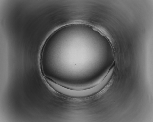 X0000091641438200709201100