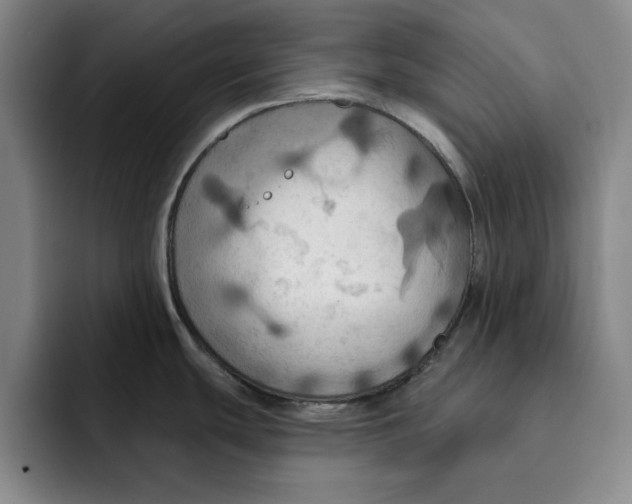 X0000091641439200709201100