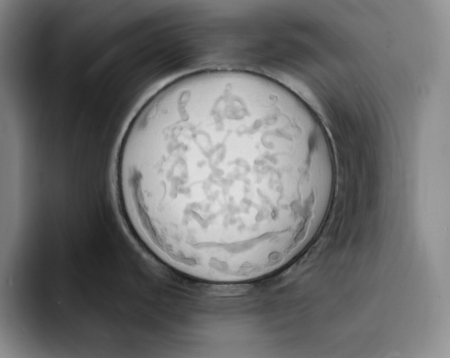 X0000091641440200709201100