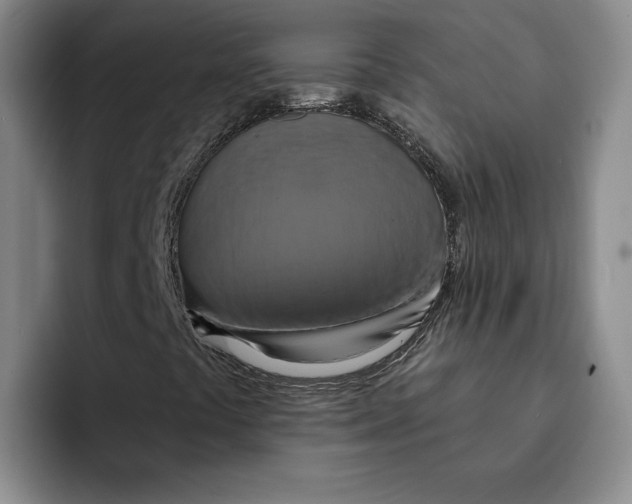 X0000091641441200709201059