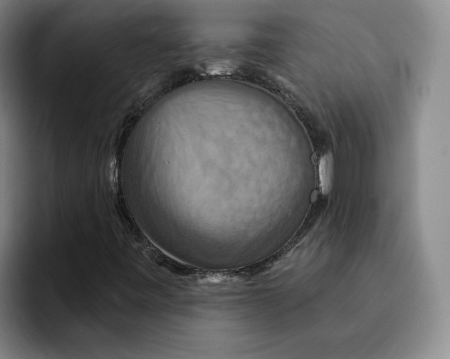 X0000091641443200709201059