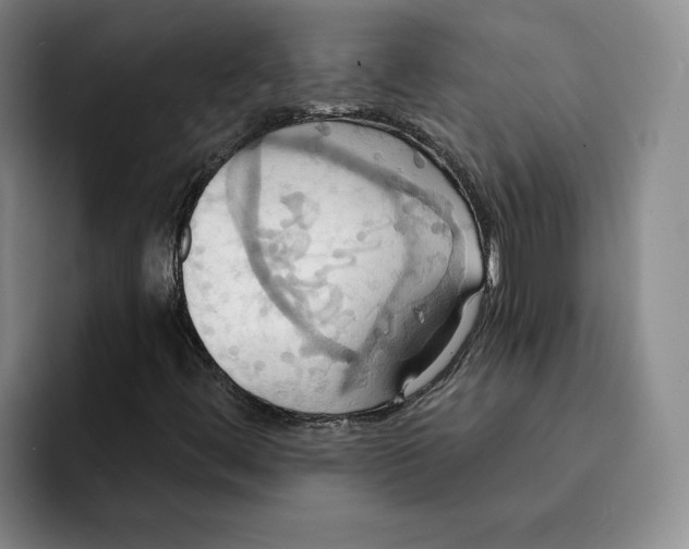 X0000091641444200709201059
