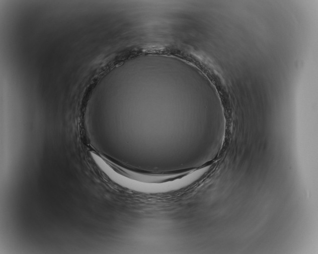 X0000091641445200709201059