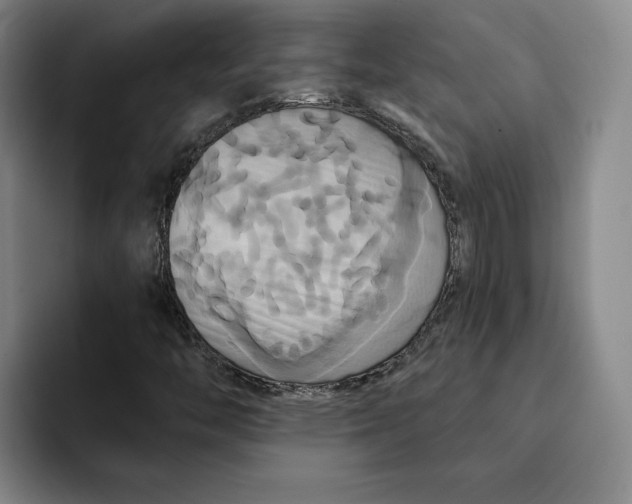 X0000091641446200709201059