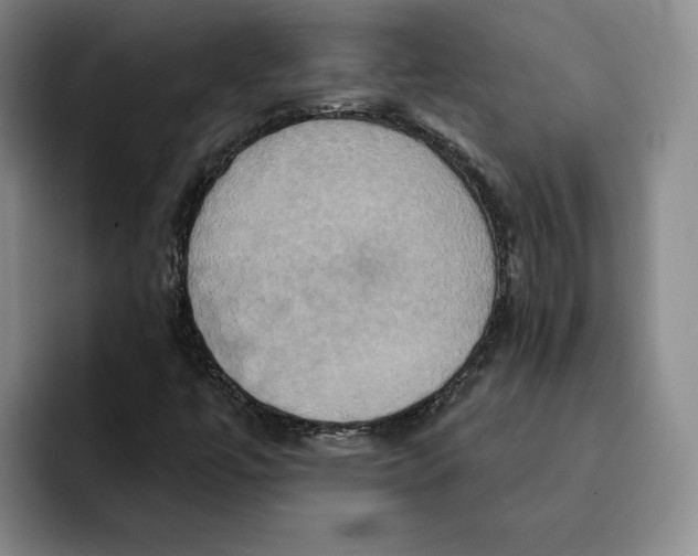 X0000091641447200709201059