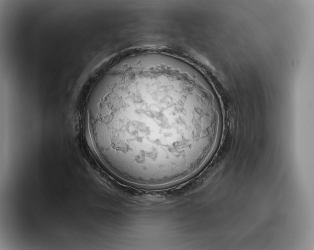 X0000091641448200709201059