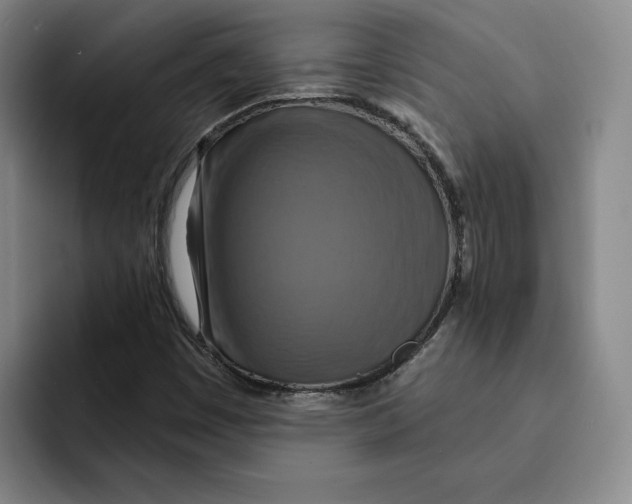 X0000091641449200709201059
