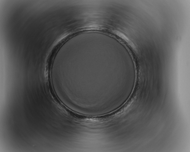 X0000091641450200709201059