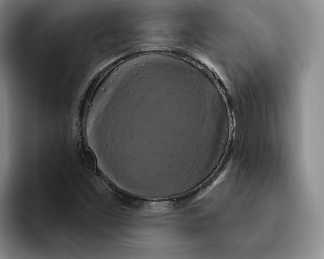 X0000091641453200709201059