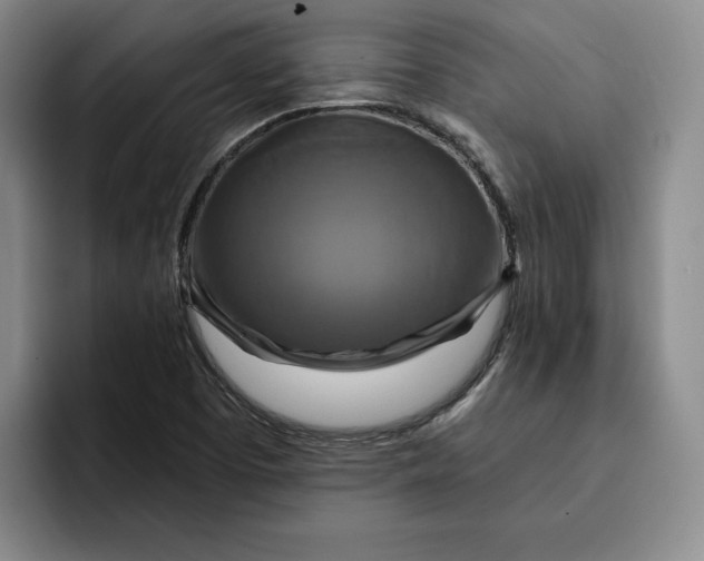 X0000091641457200709201059