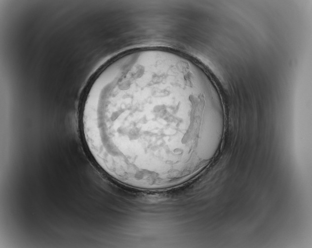 X0000091641460200709201059