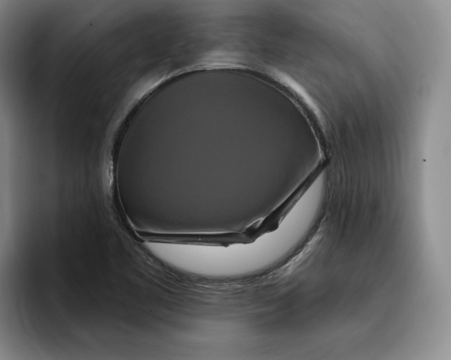 X0000091641461200709201059